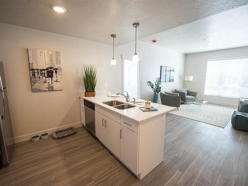 Brand new flooring | District North
