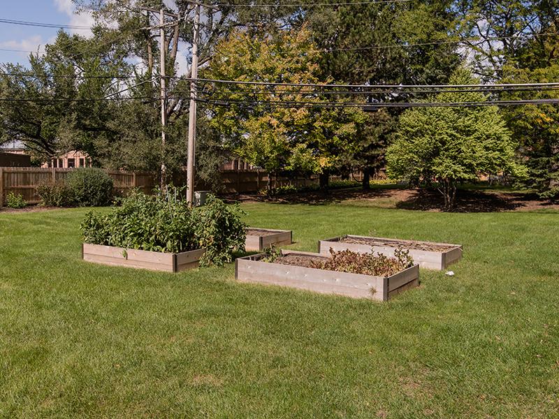 Community Gardens | Centennial South Apartments in Mount Prospect, IL
