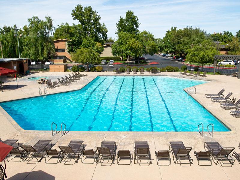 Resort Style Swimming Pool | The Eleven Hundred Apartments in Sacramento CA