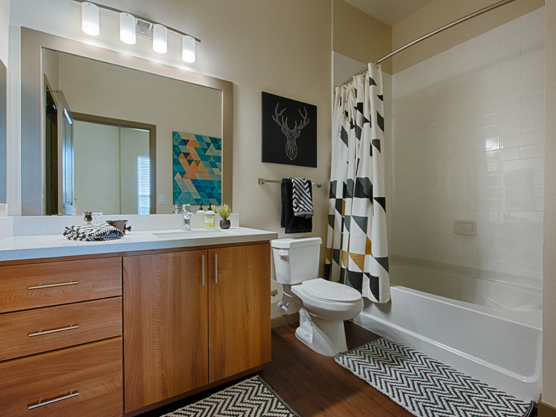 Spacious Bathroom | Skye at McClintock Station