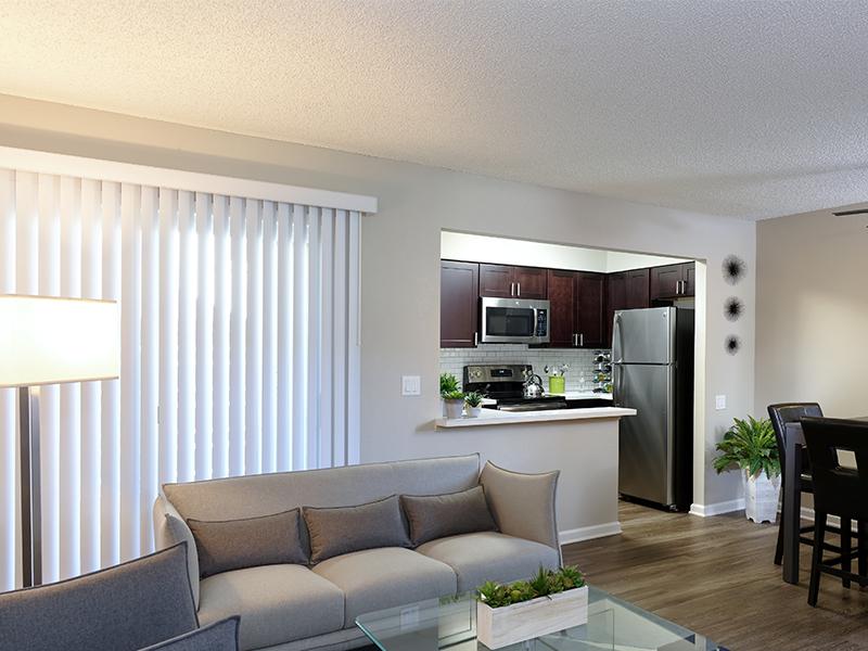 Living Dining Area