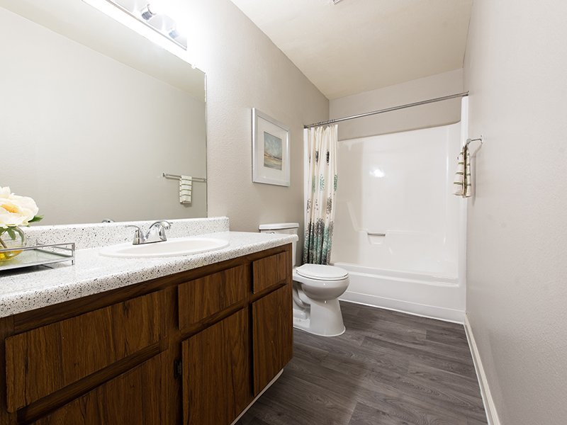 Bathroom | Indian Springs