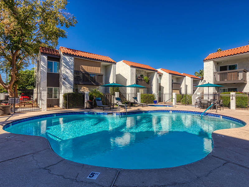 Swimming Pool | Park Paloma Apartments in Phoenix, AZ