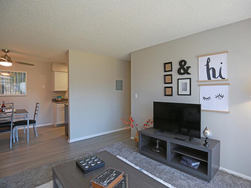 Living Room | Park on 14th