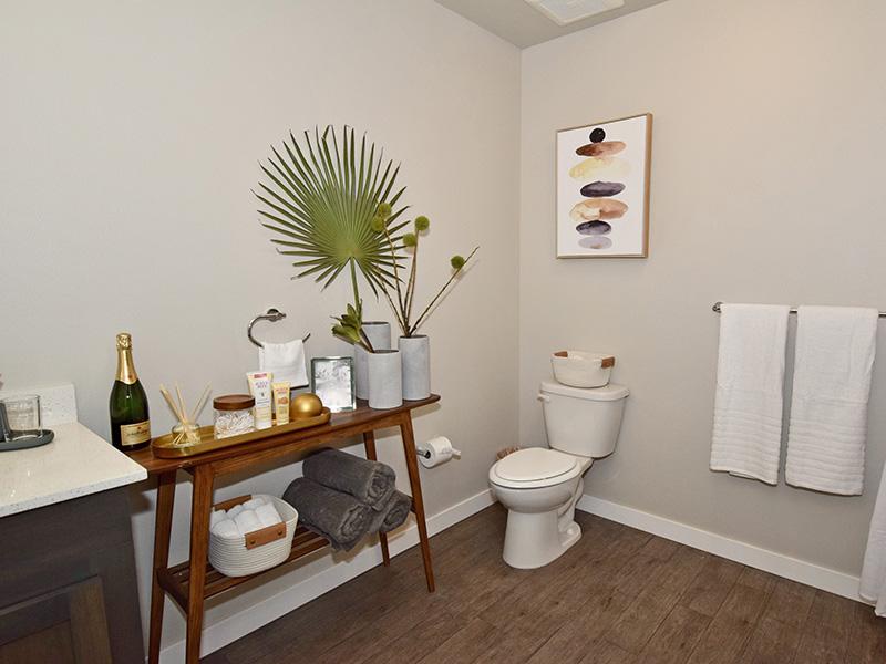 Apartment Bathroom At Coburn Crossing