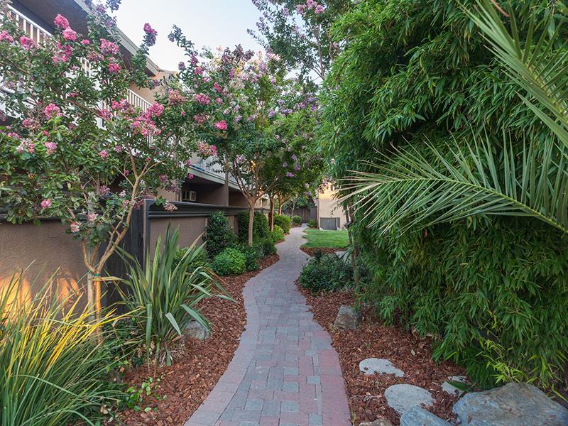 Cobble Stone Pathway - Sun Valley Apartments