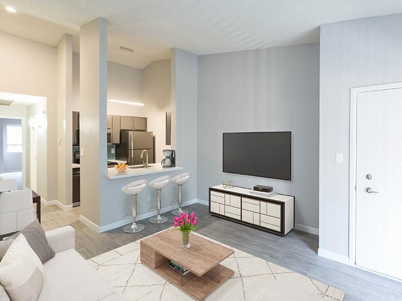 Living Room & Kitchen | The Maddox Apartments