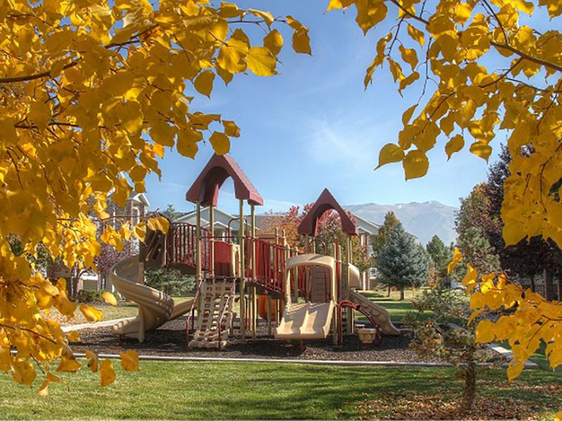 Playground | Hidden Cove