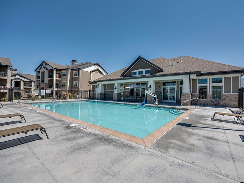 Swimming Pool | The Cove at Overlake