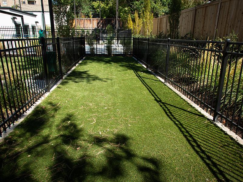 Apartments With Bark Park in Salt Lake City | Haxton Apartments