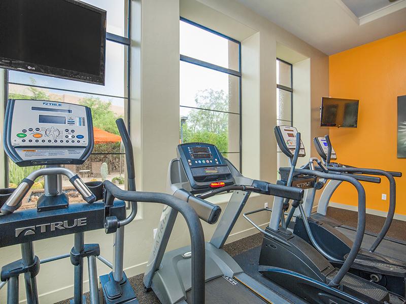 Gym | Legacy at Dove Mountain