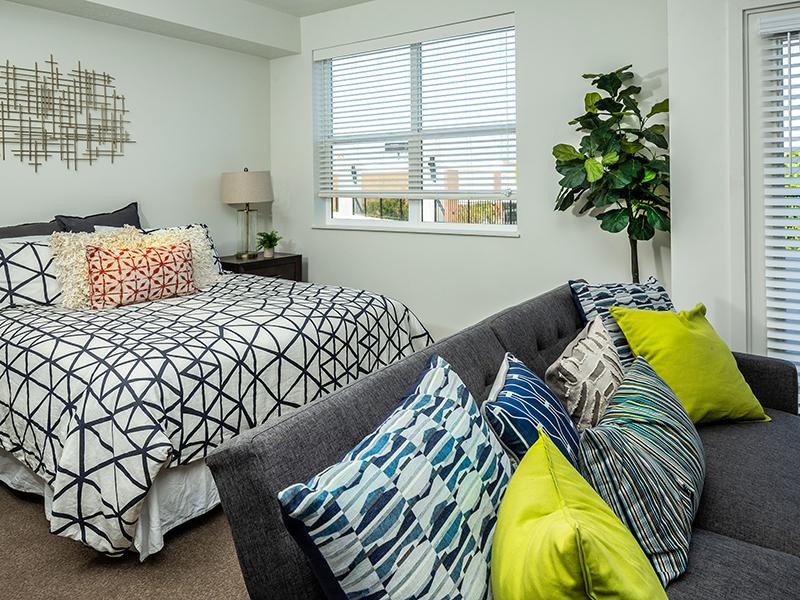 Open Layout | Paxton 365 Apartments