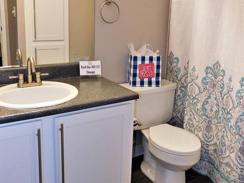 Master Bathroom | 2 Bathroom Apartments