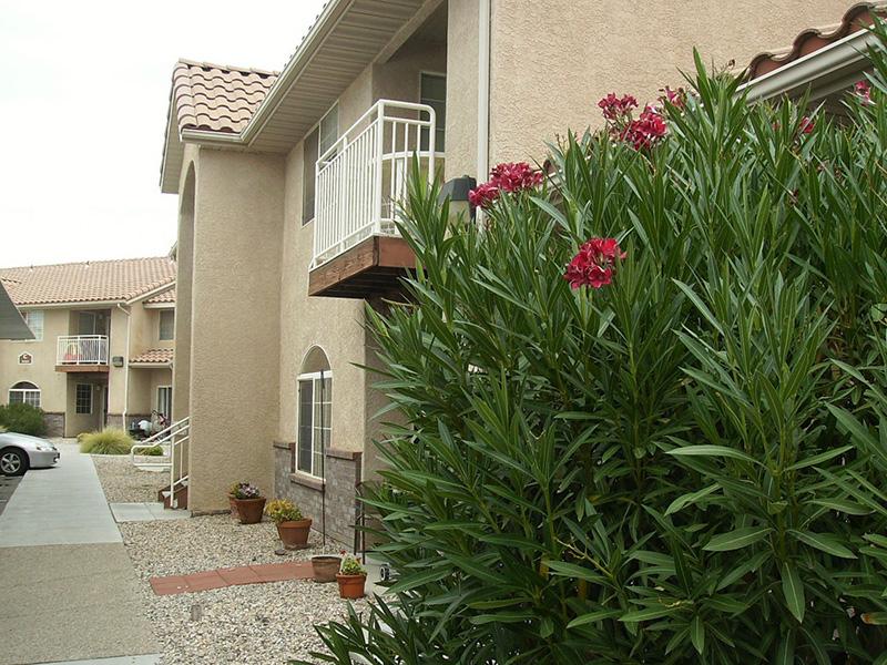 Exterior | Desert Rose