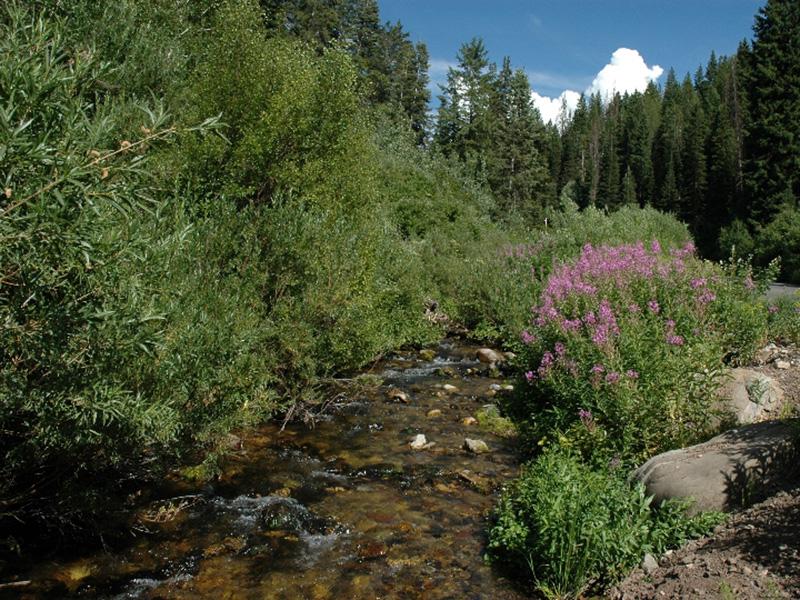 Explore Utah - Milcreek Canyon - Haxton Apartments