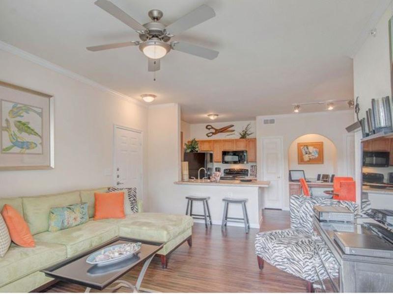 Living Room - The Falls at Westover Hills - Texas