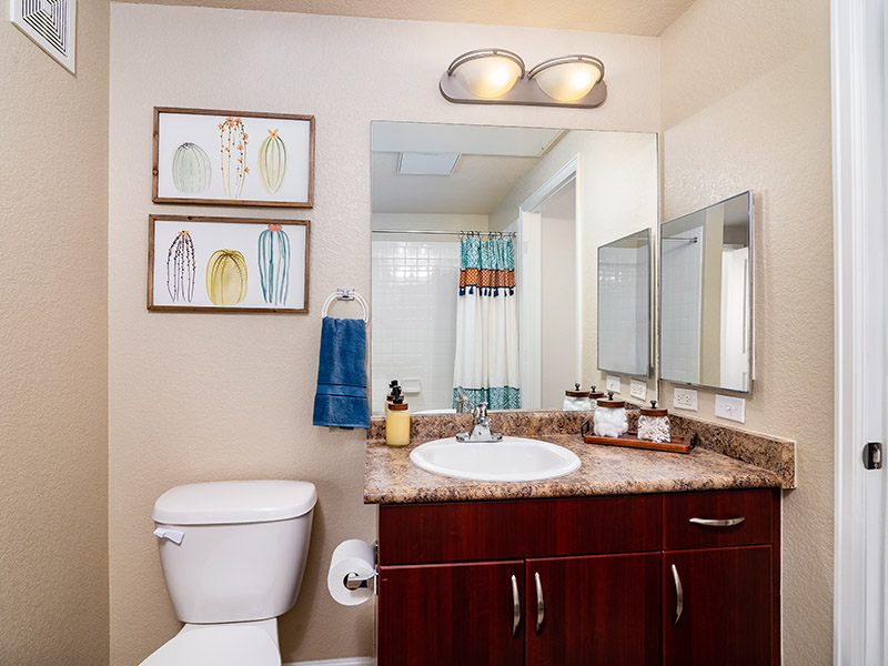 Bathrooms | Arista Flats