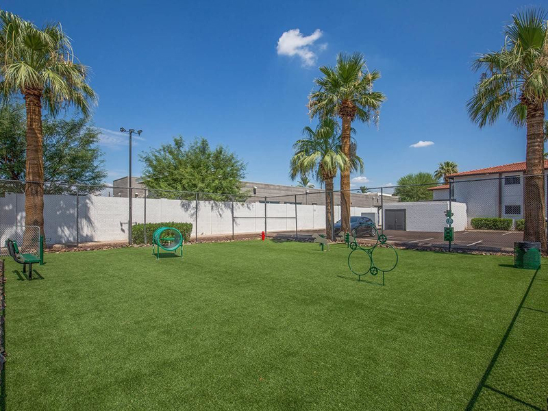 Bark Park | Prados Apartments at Arcadia