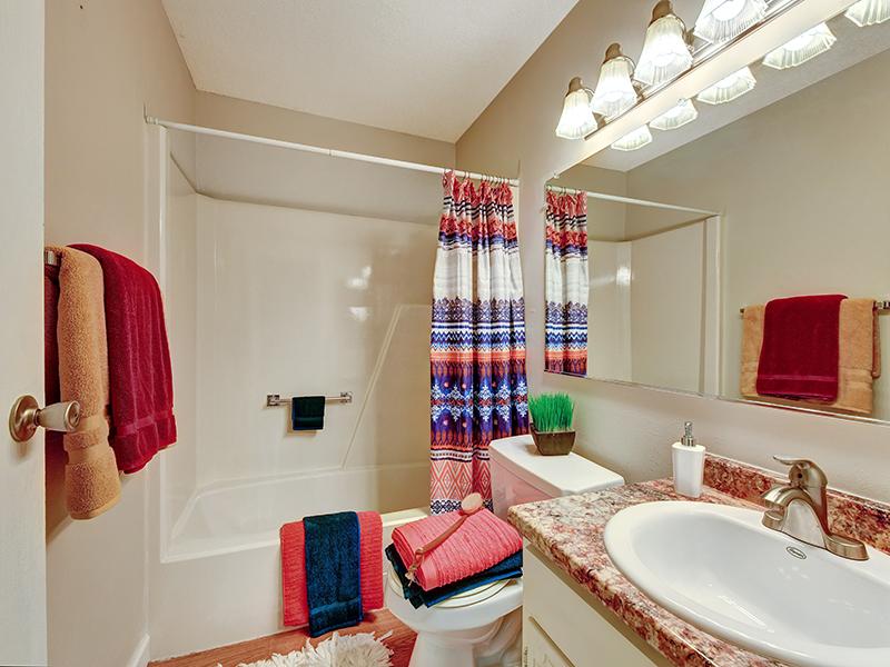 Bathroom Shower | Township Square Apartments in Saginaw, MI