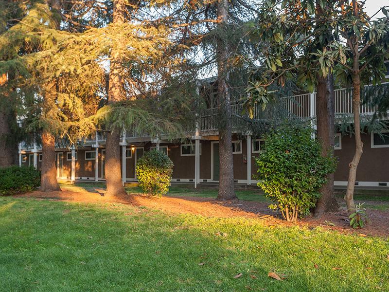 Exterior Red Woods - Sun Valley Apartments - CA