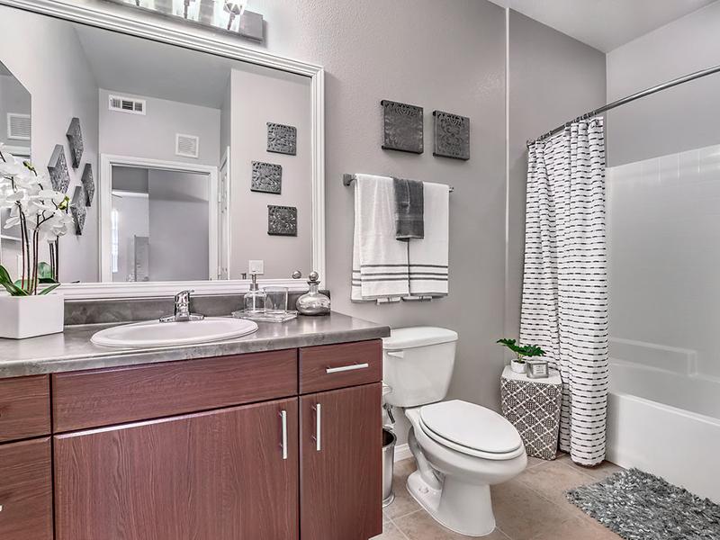 Tribeca North Luxury Apartments