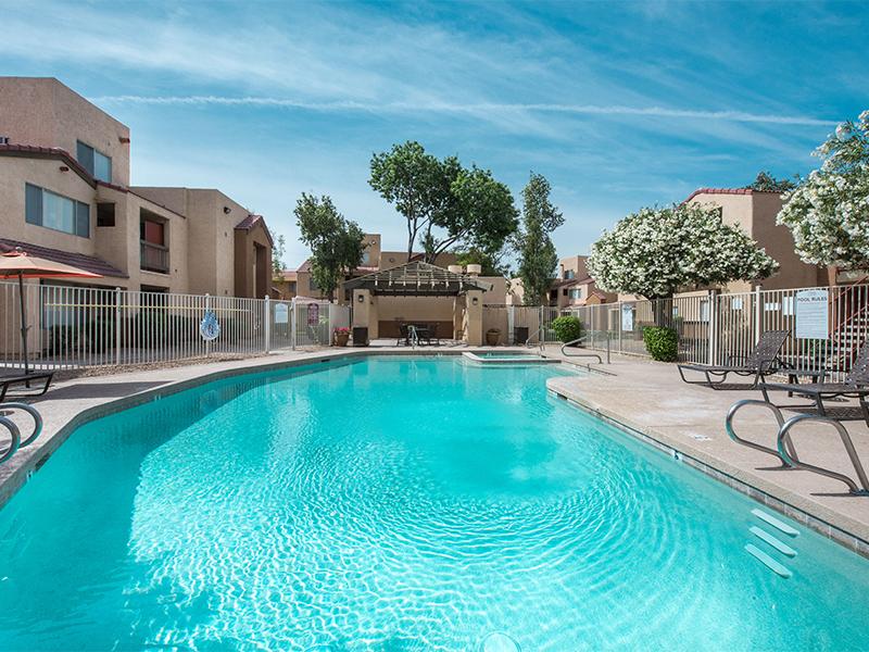 Pool | Ventana Palms