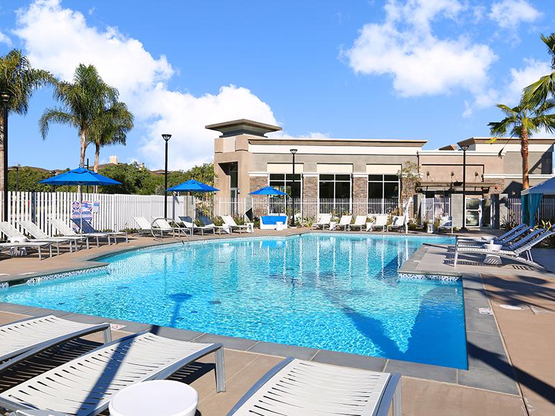 Pool | Tempo at Riverpark Apartments