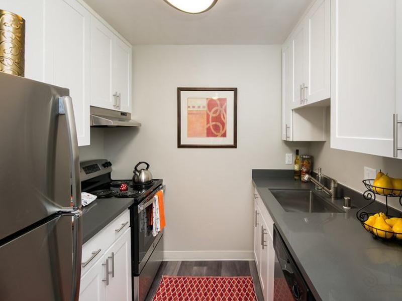 Fully Equipped Kitchen | Vivante Apartments