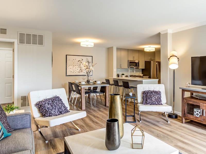 Model Living Room | Riverun at Naperville