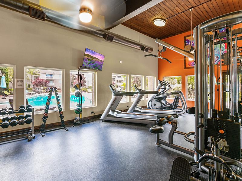 Gym | Township Square Apartments in Saginaw, MI
