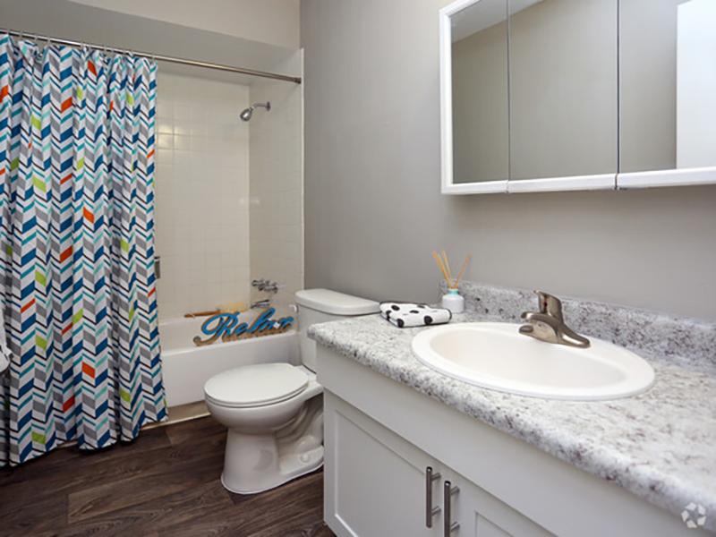 Bathroom | Forest Cove Denver Apartments