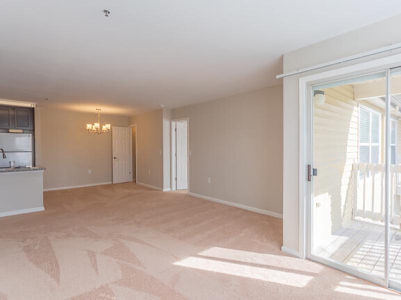 Model carpeted living room of an apartment at Bridgewater at Town Center Apartments in Hampton.