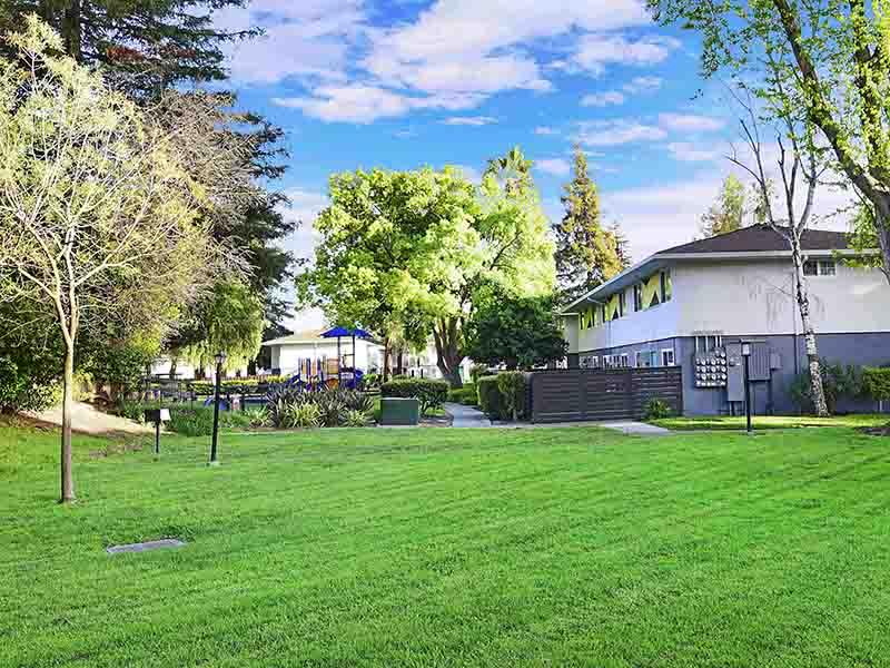 Spacious Fields | Pet Friendly Apartments