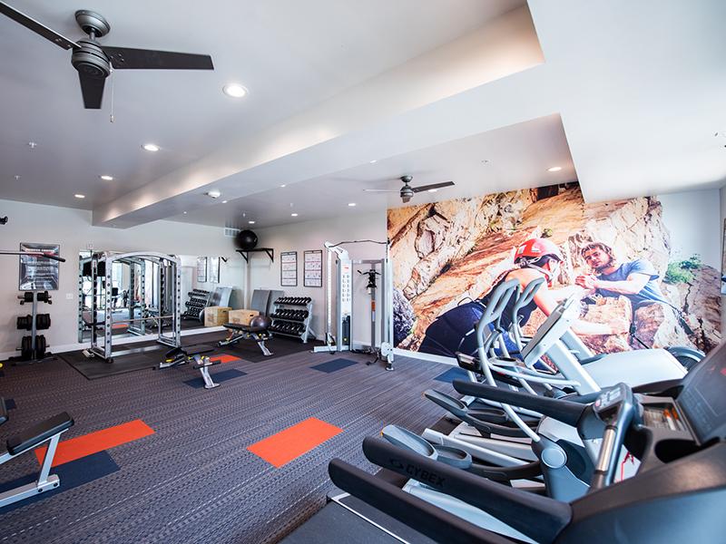 Gym | City Centre