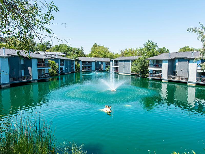 Outdoor Pond View Of Miller Estates Apartments