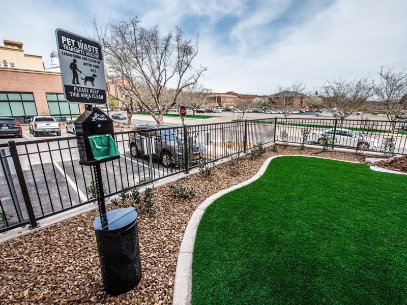 Dog Park | Joule Plaza