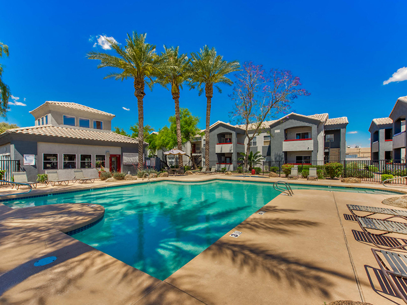 Swimming Pool | Portola on Bell