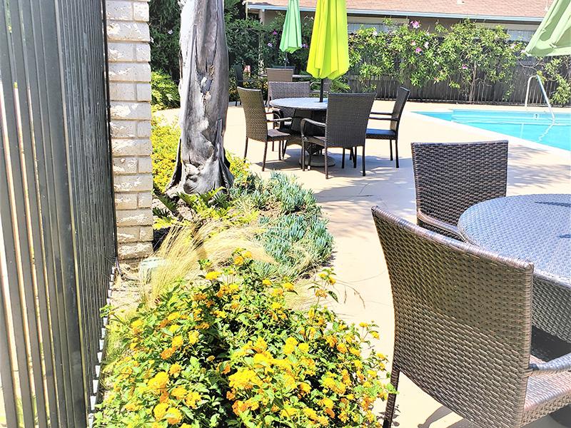 Poolside | Anaheim Cottages