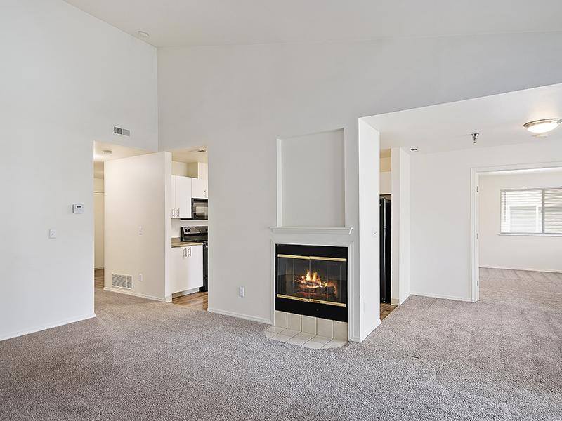 Fireplace | Orchard Place
