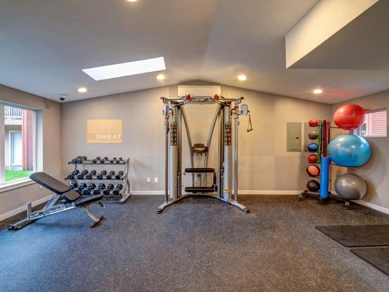 Gym | Pointe East