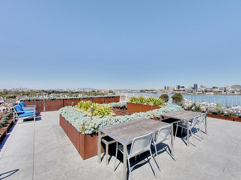 Roof View | Panomar 94501 Apartments 
