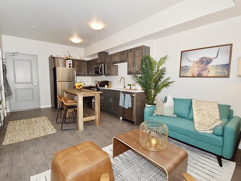 Spacious Living Room And Modern Kitchens | Coburn Crossing