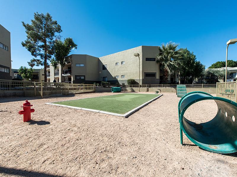 Dog Park | Apartments in Mesa, AZ