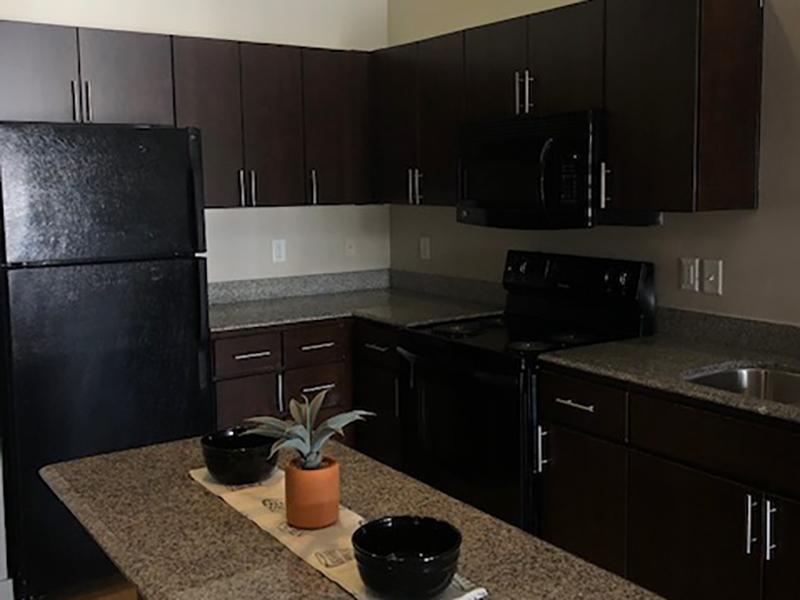 Kitchen | Lotus Apartments