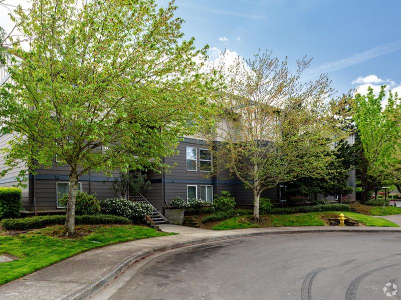 Lush Grounds | Stark Street Crossings
