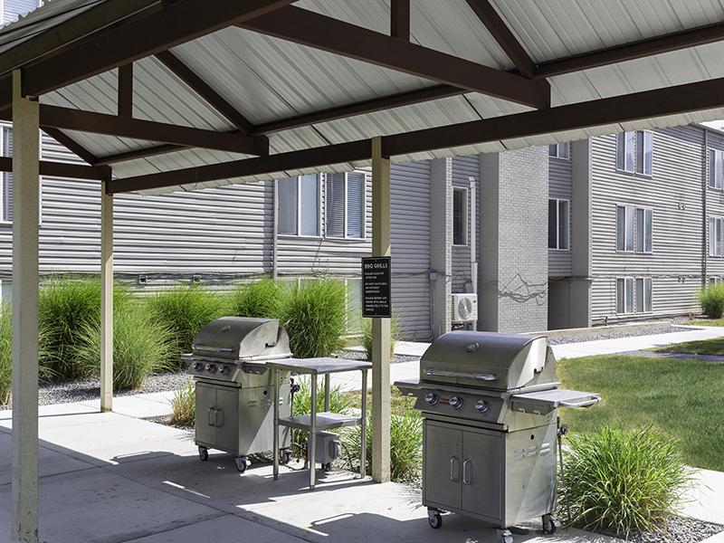 BBQ Grills | The Shenandoah