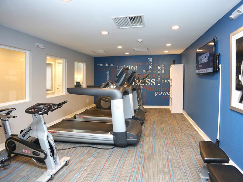 Gym | The Harrison