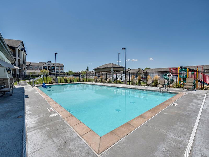 Pool | The Cove at Overlake