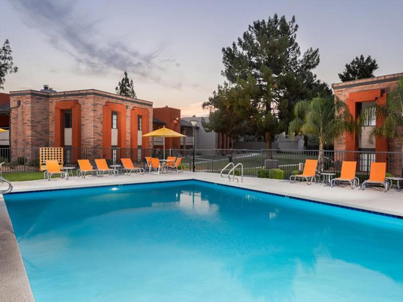 Pool | Aria on Mill | Tempe, AZ
