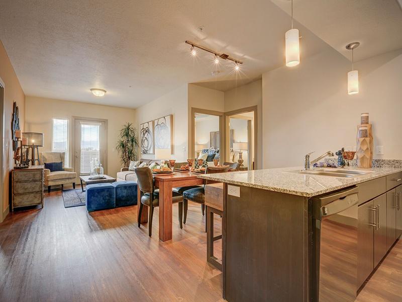 Dry Creek At East Village Apartments In Sandy Ut 84070 Market Apartments